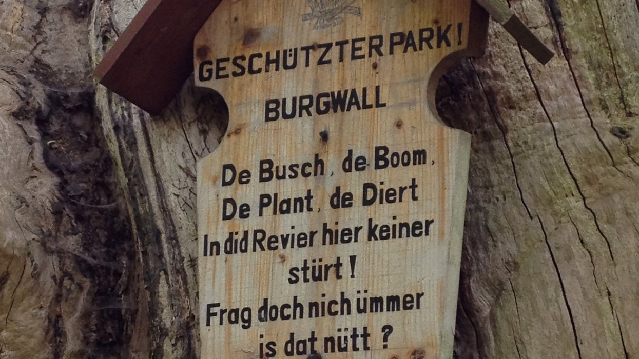 Holzschild, das an einem Baum befestigt ist, mit der Aufschrift ,,Geschützter Park! Burgwall'' und darunter einem plattdeutschen Spruch.
