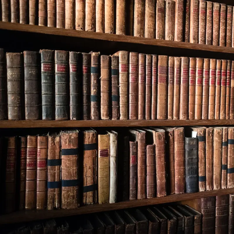 alte braune Bücher stehen im Regal einer alten Bibliothek