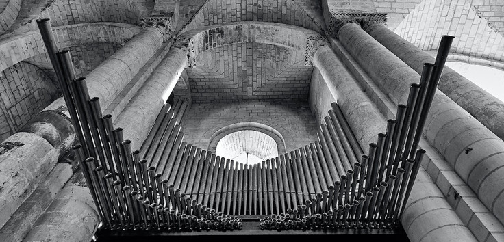 Die Orgel ist das Instrument des Jahres 2021. Foto: Michael Jasmund / Unsplash