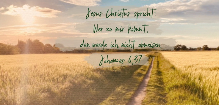 Jahreslosung: "Jesus Christus spricht: Wer zu mir kommt, den werde ich nicht abweisen" (Joh 6,37). Man sieht einen Feldweg im sommergoldenen Weizensonnenlicht.