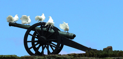 Weiße Tauben sitzen auf einer Kanone.